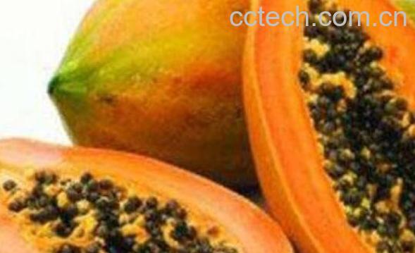 木瓜可以直接吃吗 木瓜的各种吃法-0