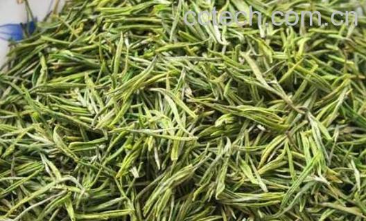 男人每天喝绿茶有什么好处-0