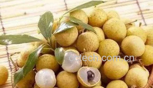 龙眼酒怎么泡 龙眼酒的正确制作方法-1