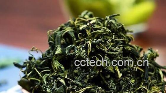 连翘叶茶的功效与作用-0