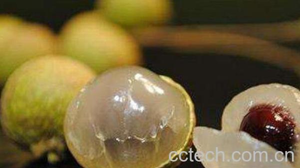 龙眼酒的功效与作用 喝龙眼酒的好处-0