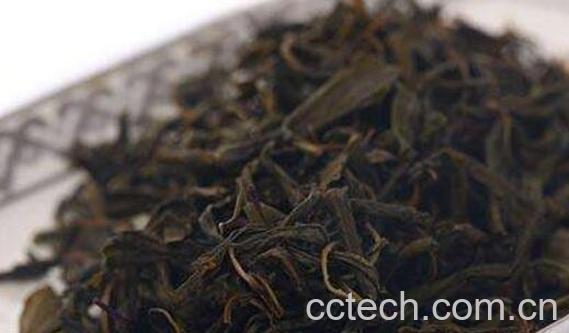 连翘叶茶的功效与作用-1