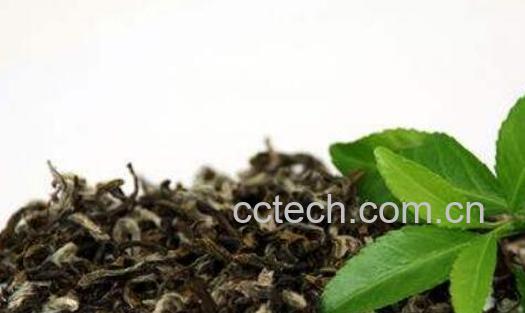 茶叶泡澡的好处和坏处-0