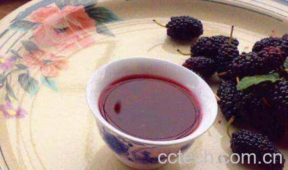 桑葚干泡酒的功效和作用-0