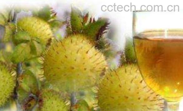 刺梨酒的功效与作用 刺梨酒的危害-1