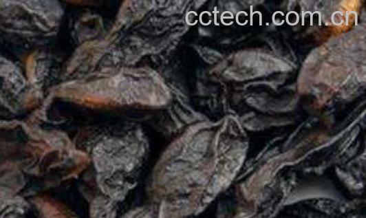 槐角茶什么人不能喝 槐角茶的副作用有哪些-0