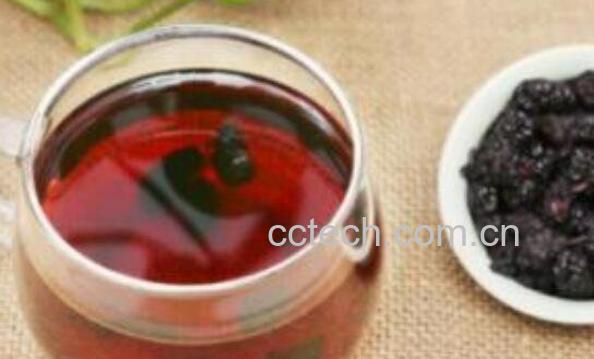 桑葚泡水喝有什么作用 桑葚泡水的功效与作用-0