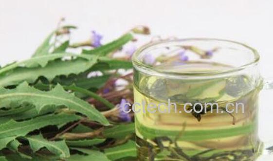 苦菜茶怎么做 苦菜茶的制作方法-0