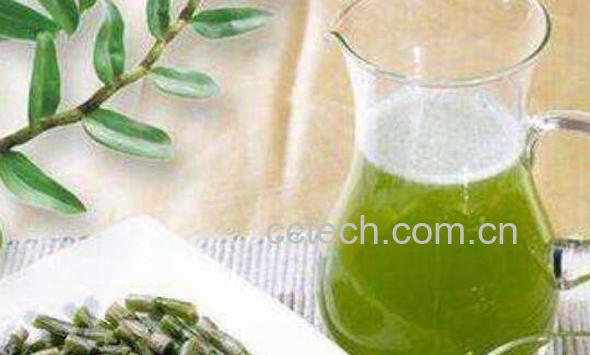 石斛酒怎么泡 石斛酒的功效与作用-0