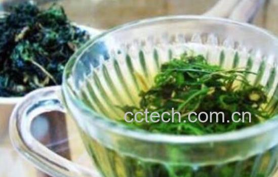 泡苦菜茶有什么好处 泡苦菜茶的禁忌-0