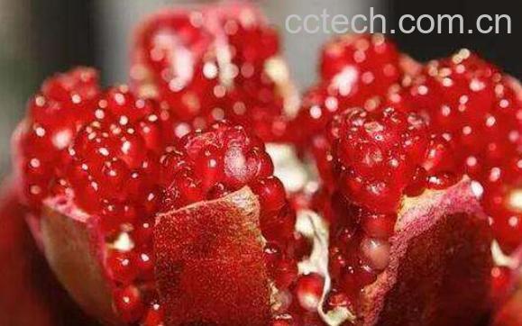 红石榴的功效与作用及副作用-1