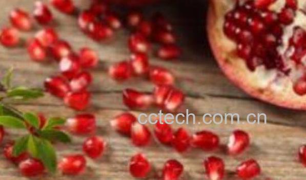 石榴籽的功效有哪些 石榴籽有避孕的功效吗-1