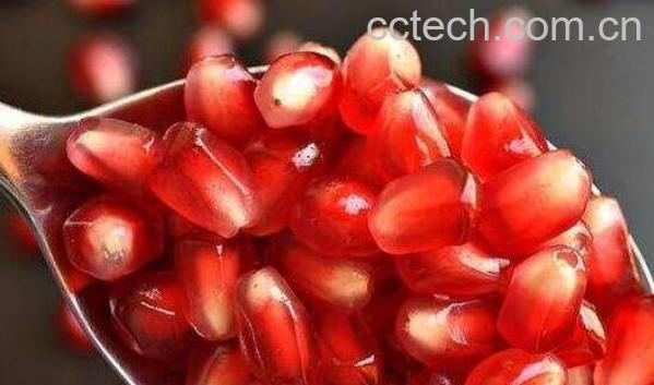 石榴籽的功效有哪些 石榴籽有避孕的功效吗-0