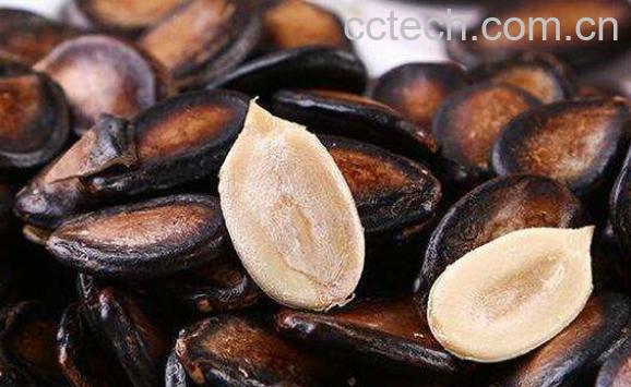 黑瓜子是什么瓜的子 黑西瓜子的营养价值-0