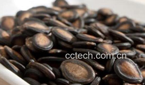 黑瓜子是什么瓜的子 黑西瓜子的营养价值-1