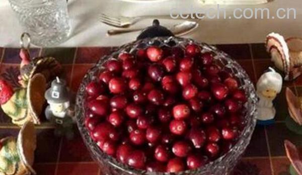 蔓越莓的功效与作用 蔓越莓的食用方法-1