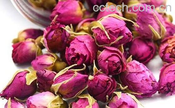 紫玫瑰花茶的功效与作用-0