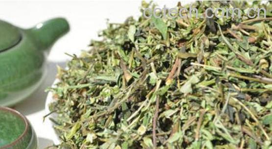 黄芩茶如何制作 黄芩茶的功效与作用-0