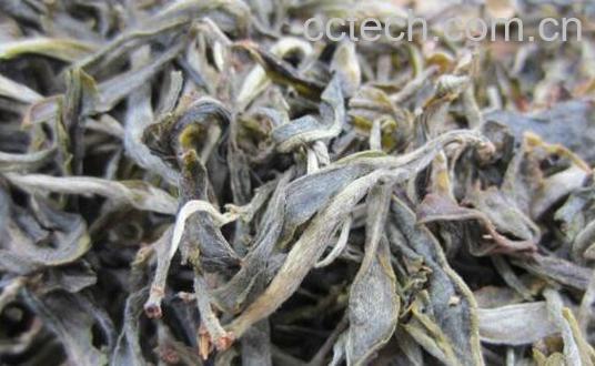 晒青毛茶是什么茶 晒青毛茶的功效与作用-1
