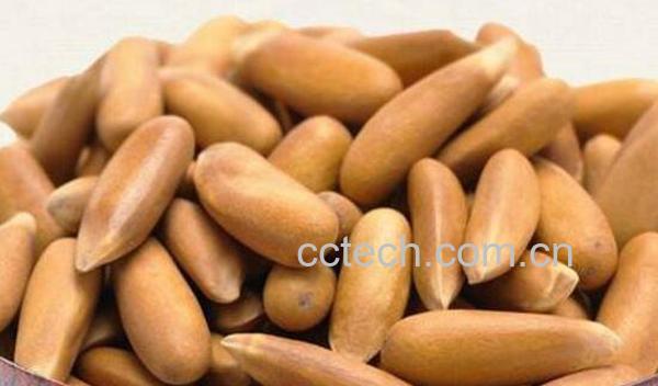 巴西松子的功效与作用 吃巴西松子的好处-0