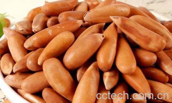 巴西松子的功效与作用 吃巴西松子的好处-1