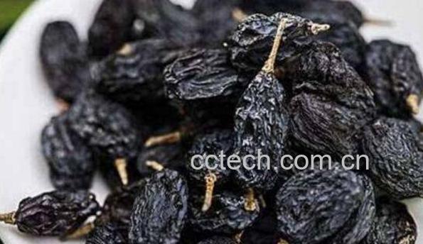 黑加仑干的功效与作用-0
