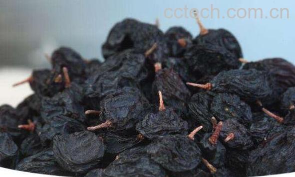 黑加仑干的功效与作用-1