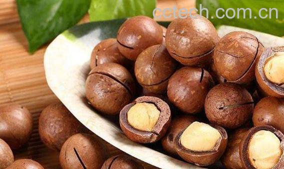 夏威夷果怎么打开 夏威夷果怎么吃-1