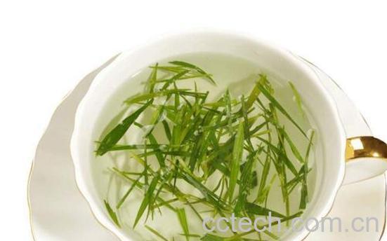 竹叶茶的功效与作用 竹叶茶的禁忌-0