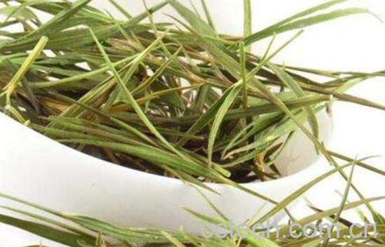 竹叶茶怎么泡最好喝 竹叶茶的正确泡法-0