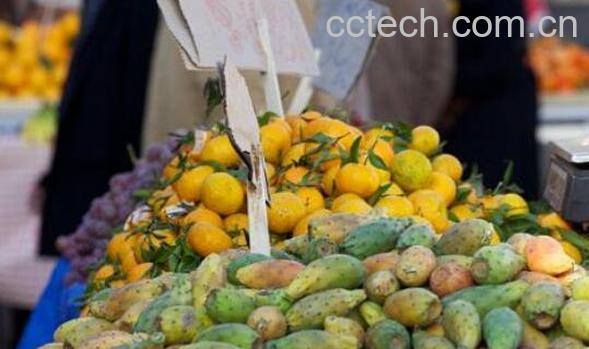 仙人掌果怎么吃 仙人掌果的吃法-1