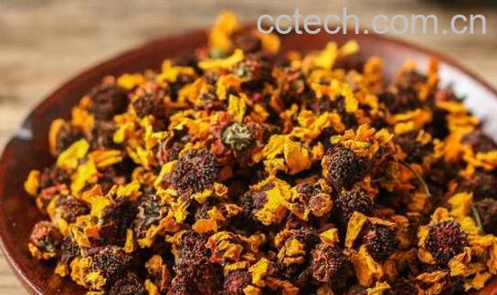 男人喝雪菊有什么好处和坏处-0