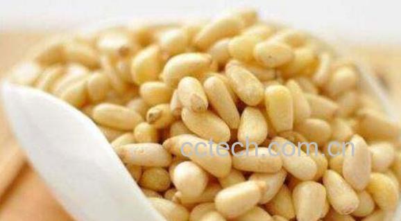 松子仁的功效与作用 吃松子仁的好处-0