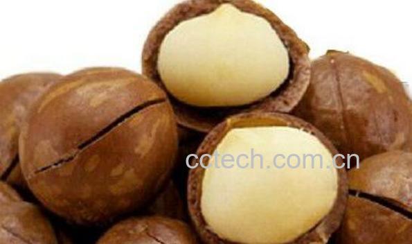 夏威夷果的功效与作用及食用方法-1