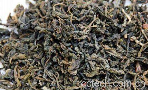 柿子叶的功效与作用 柿子叶的副作用-0