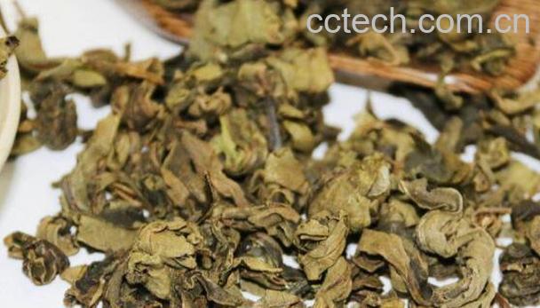 柿子叶的功效与作用 柿子叶的副作用-1