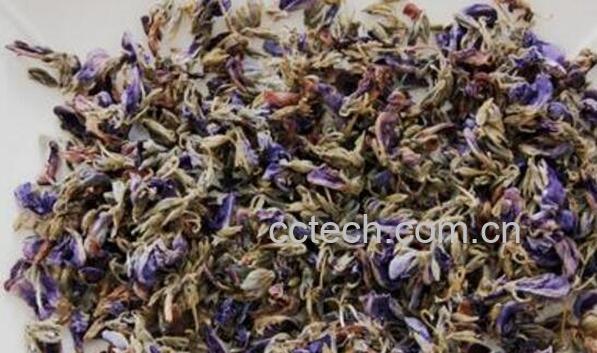 葛花茶怎么做窍门 家庭做葛花茶教程-0