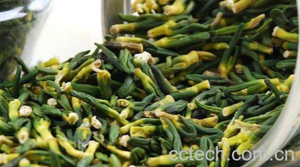 莲子心的功效与作用 吃莲子心的好处-0