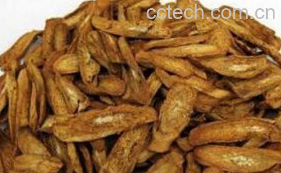 生姜牛蒡茶的功效与作用-1