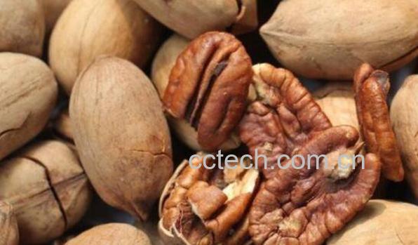 碧根果的功效与作用 吃碧根果有什么好处-0