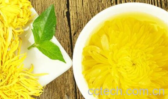 金丝皇菊的功效与作用-1