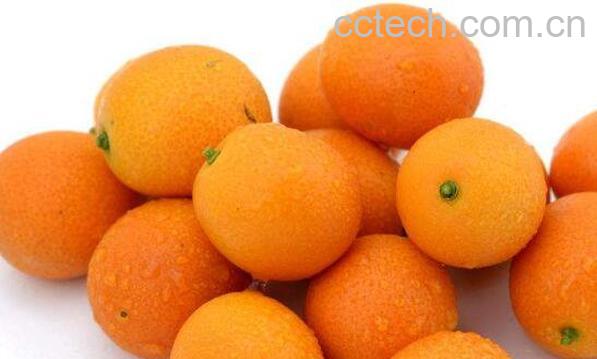 金钱橘泡酒功效与作用-0