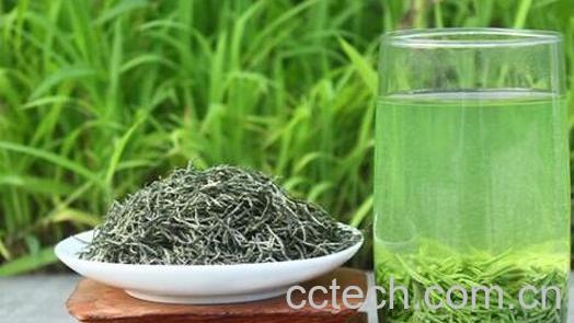 信阳毛尖怎么泡才好喝 信阳毛尖的正确泡法-0