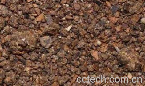 茶麸洗头的正确方法 茶麸洗头的好处-1