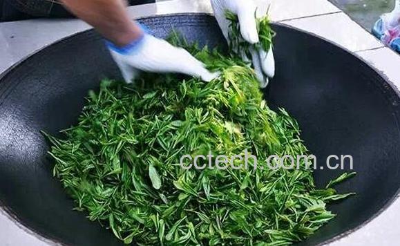自己摘的茶叶怎么炒 手工炒茶叶的步骤-0