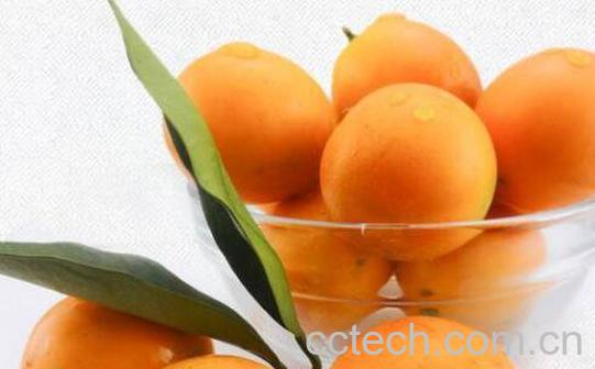 金钱橘怎么腌制-1