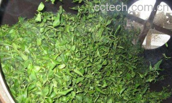 摘回来的茶叶要不要洗 自己炒的绿茶为什么不绿-0