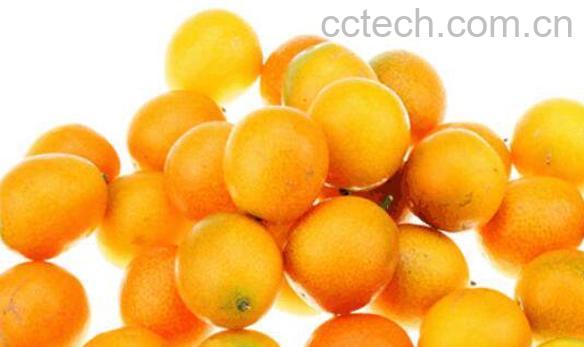 金钱桔糖腌制方法 金钱橘冰糖的功效-1