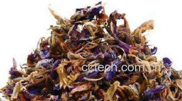 晒干葛花的食用方法-1