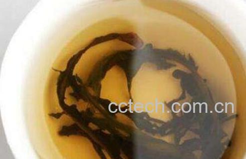 女性喝蒲公英茶的禁忌 蒲公英茶哪些人不宜喝-1